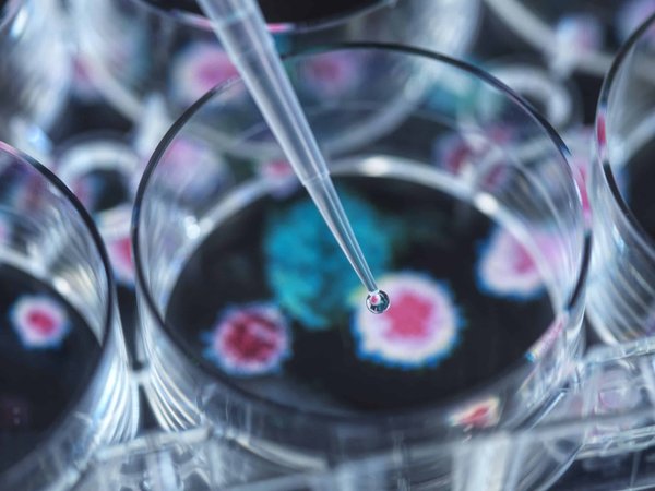 What Is the Potential for Biometric Payment Systems in UK Public Transportation?